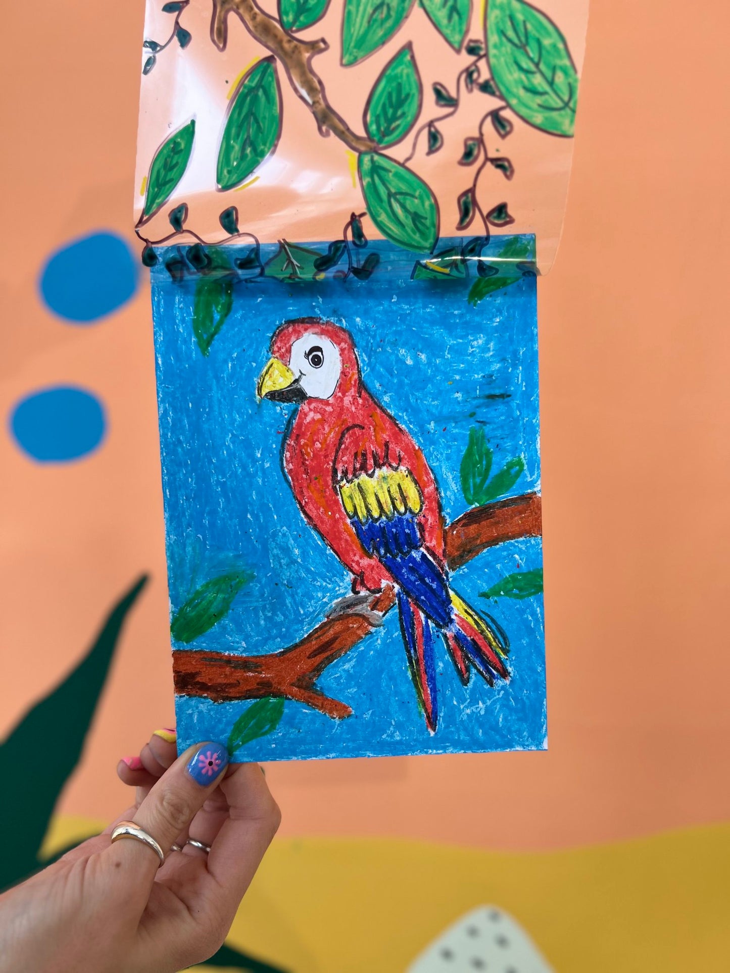 Jungle Camouflage - Lesson Plan